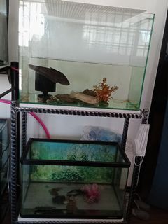 (Category: ) located in . Submitted by diah70 (Listing ID 1106108390, Image 1). Description: .