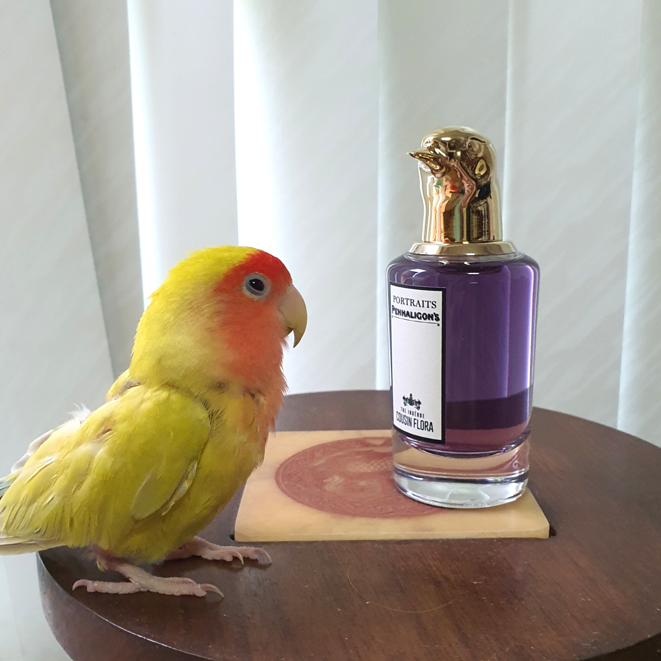 Penhaligons cousin flora discount review