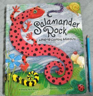 Salamander Rock - A Pop-up counting adventure