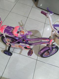 Sepeda Anak Ungu