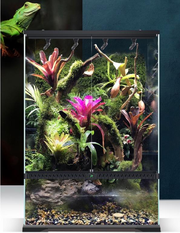 Lizard tank pets at home sale