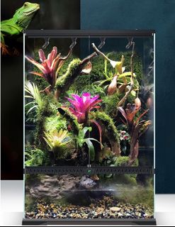 (Category: ) located in . Submitted by aquamaniacs (Listing ID 1106002458, Image 1). Description: .