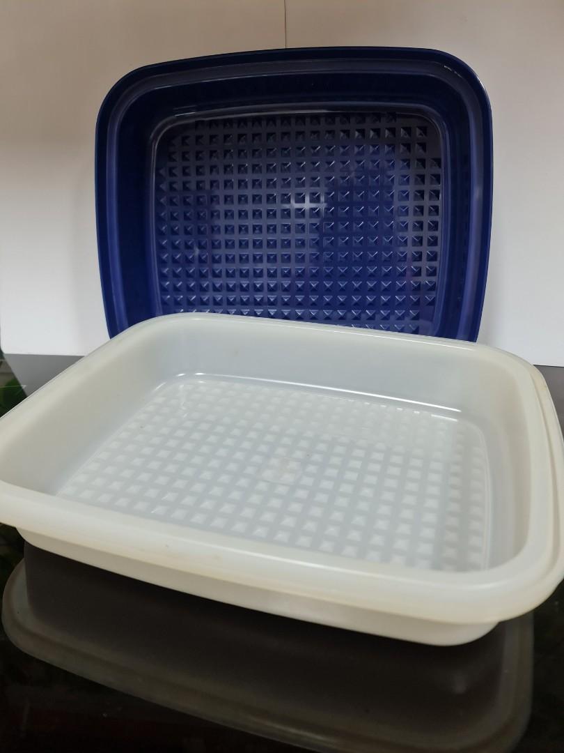 Tupperware Marinate Container, TV & Home Appliances, Kitchen Appliances