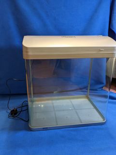 （分類：）位於 。 由 piushellobyebye 提交（商品編號 1110985354，圖片 1）。簡介： 。