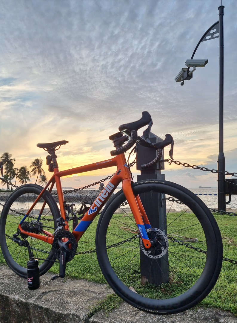 Cinelli top veltrix 2019