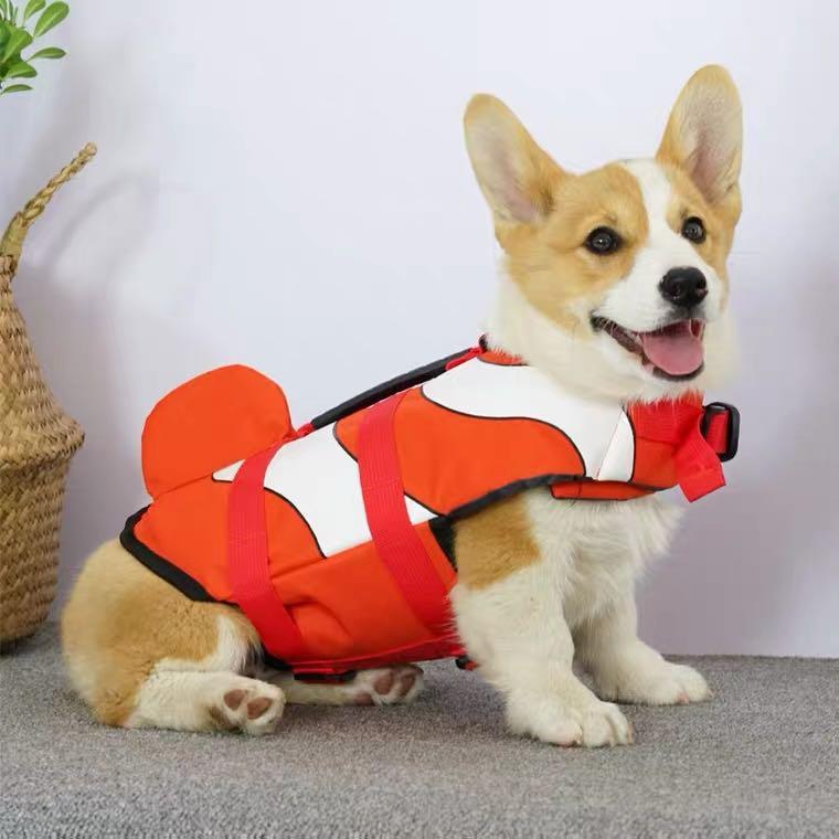 Nemo dog 2025 life jacket