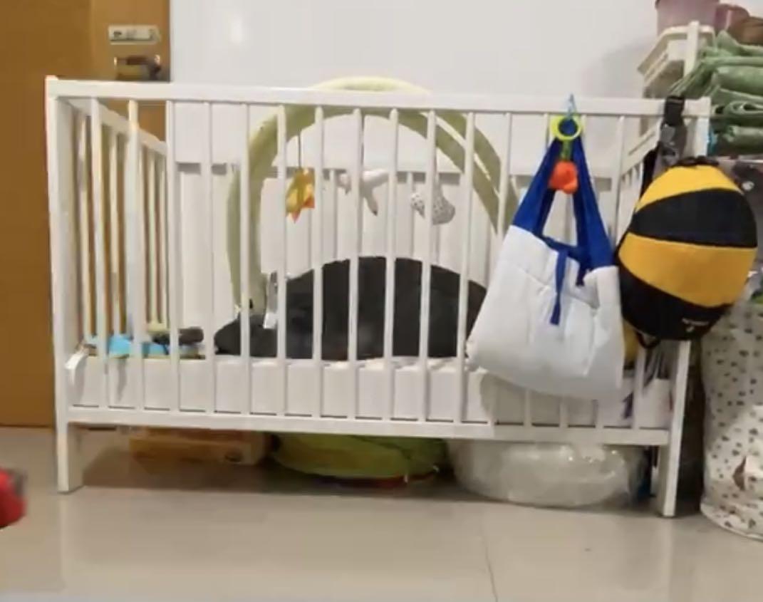 Ikea Gulliver Baby Cot, Babies & Kids, Baby Nursery & Kids Furniture