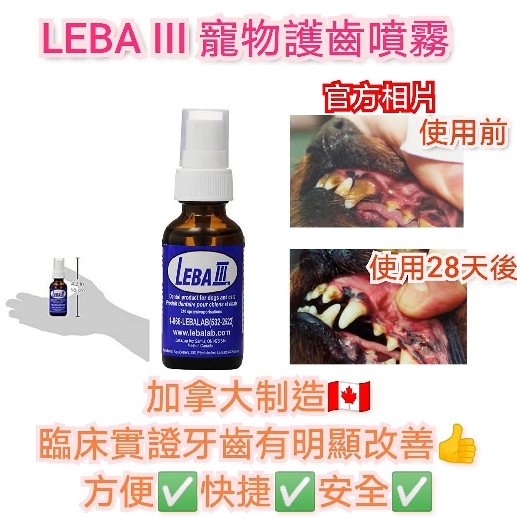 Leba iii sale