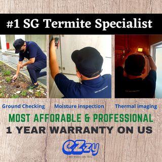 Termite Control