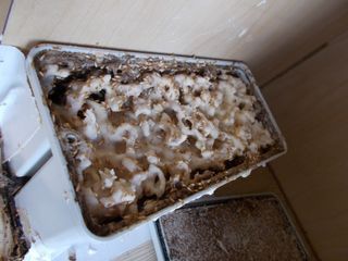 (Category: ) located in . Submitted by ezzypest (Listing ID 1110925984, Image 1). Description: .