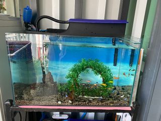 (Category: ) located in . Submitted by applematcha (Listing ID 1112746445, Image 1). Description: .