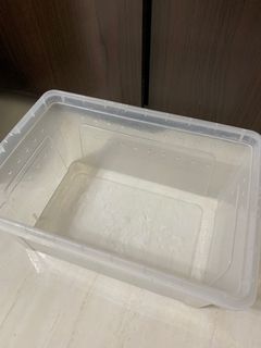 由 spring__roll (刊登 ID 1112788018，圖片 1) 提交，位於 的 (類別：)，說明：。