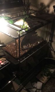 (Category: ) located in . Submitted by daniel6661 (Listing ID 1112867061, Image 1). Description: .