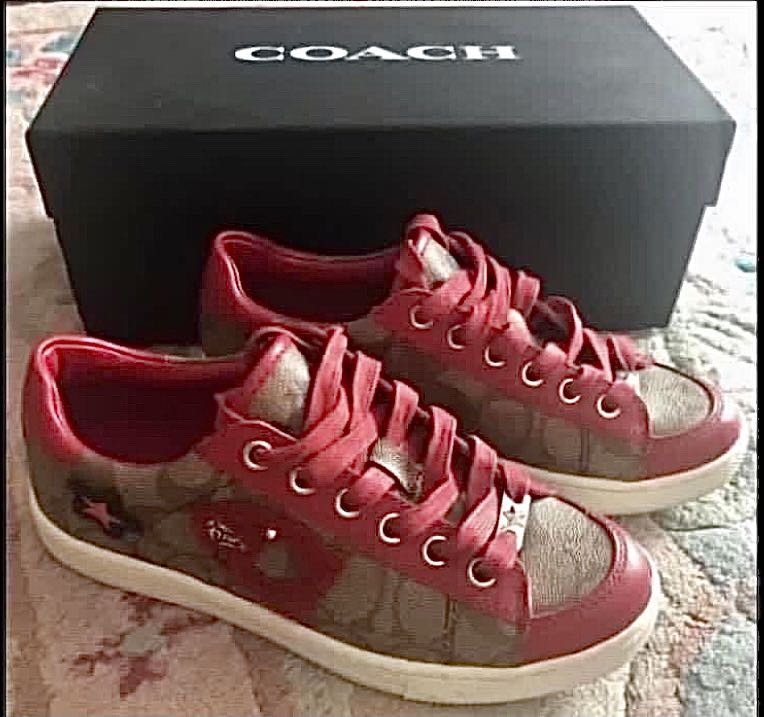 Coach Sneaker Ladies Size 36 US 5.5 Luxury Sneakers