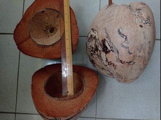 (Category: ) located in . Submitted by kingnept (Listing ID 1112721544, Image 1). Description: .