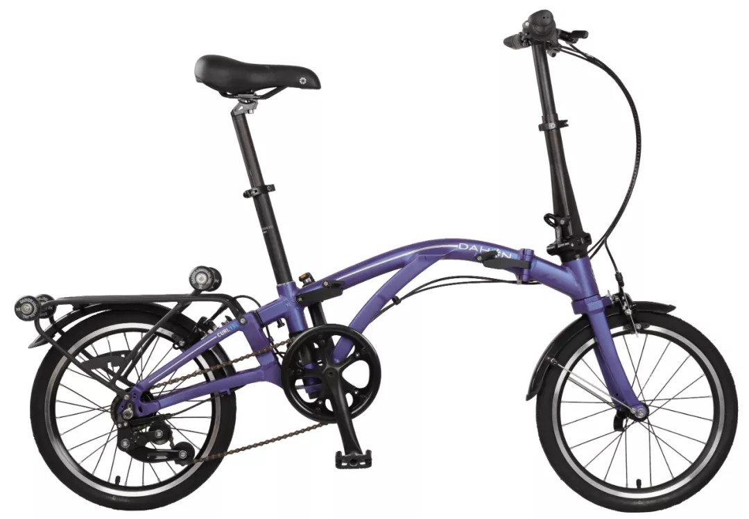 Dahon curl 2025