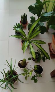 (Category: ) located in . Submitted by mansiv (Listing ID 1112751751, Image 1). Description: .