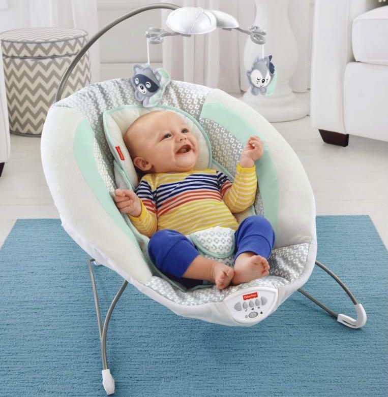 Moonlight meadow best sale deluxe bouncer