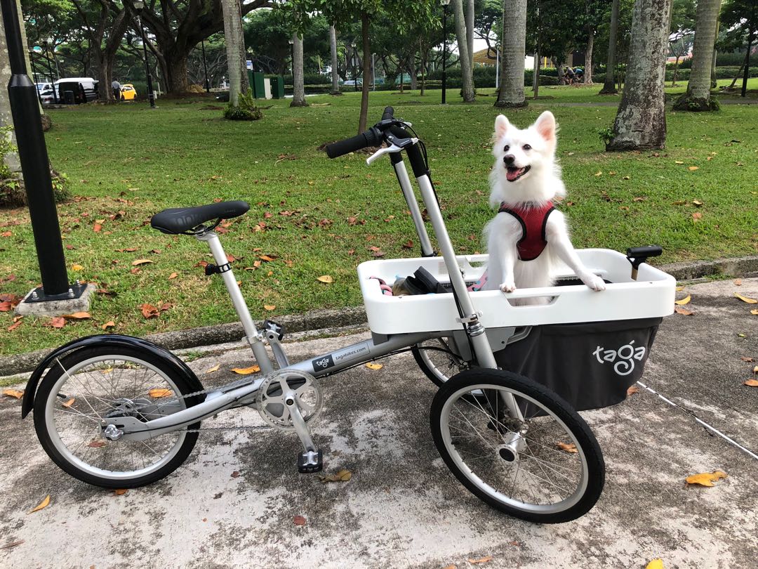 Taga Family Cargo Bike Sports Equipment Bicycles Parts