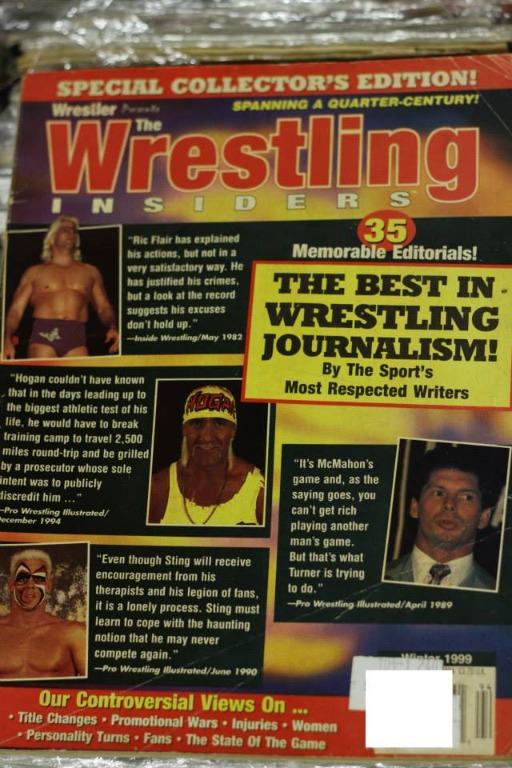 VINTAGE Wrestling Magazines (WWE/WCW), Hobbies & Toys, Books ...