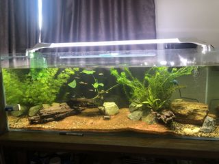 (Category: ) located in . Submitted by stenki (Listing ID 1112989330, Image 1). Description: .