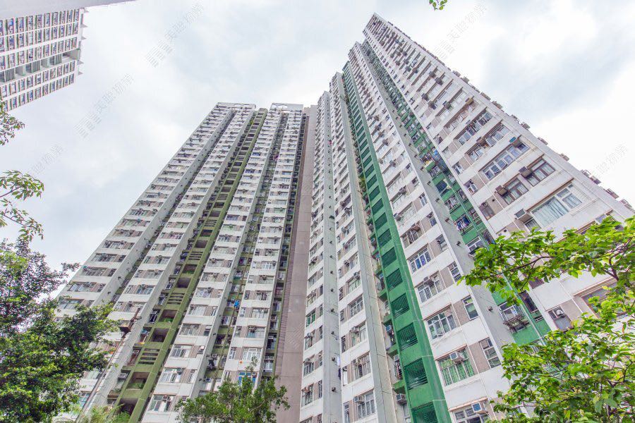 美城苑高層大單位64076921778051110