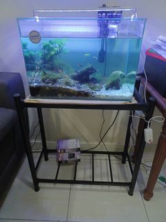 (Category: ) located in . Submitted by hari2905 (Listing ID 1112924202, Image 1). Description: .