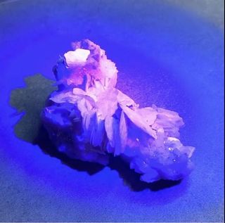 (Category: ) located in . Submitted by pie.gems (Listing ID 1113079097, Image 1). Description: .
