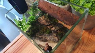 (Category: ) located in . Submitted by maxnakamura (Listing ID 1112899476, Image 1). Description: .
