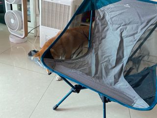 （分類：）位於 。 由 doudoustore 提交（商品編號 1112933794，圖片 1）。簡介： 。