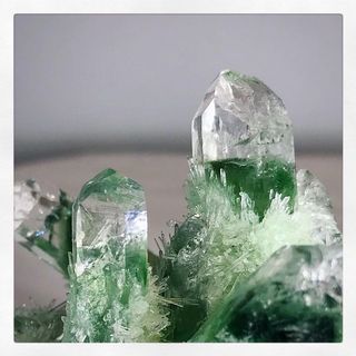 (Category: ) located in . Submitted by pie.gems (Listing ID 1113079437, Image 1). Description: .