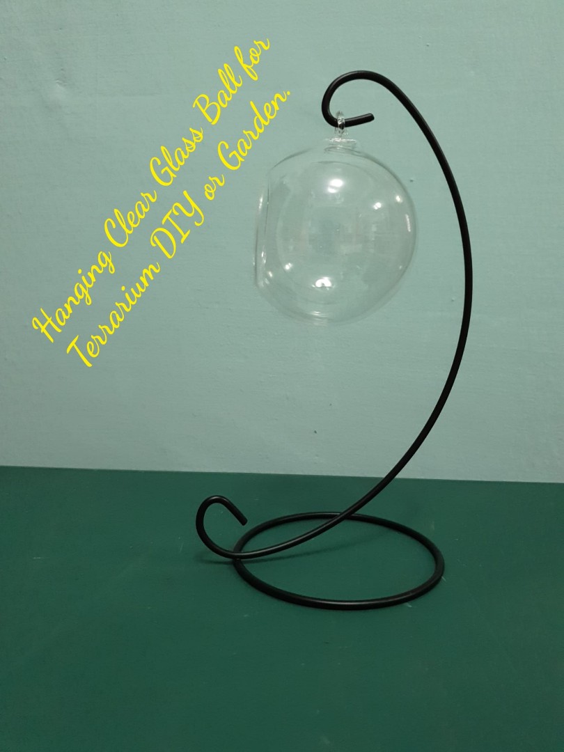 Hanging Glass Ball - Plant Terrarium With Stand, Hobbies & Toys, Stationery  & Craft, Handmade Craft On Carousell
