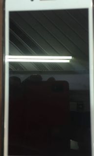 (Category: ) located in . Submitted by boy76sg (Listing ID 1112980046, Image 1). Description: .