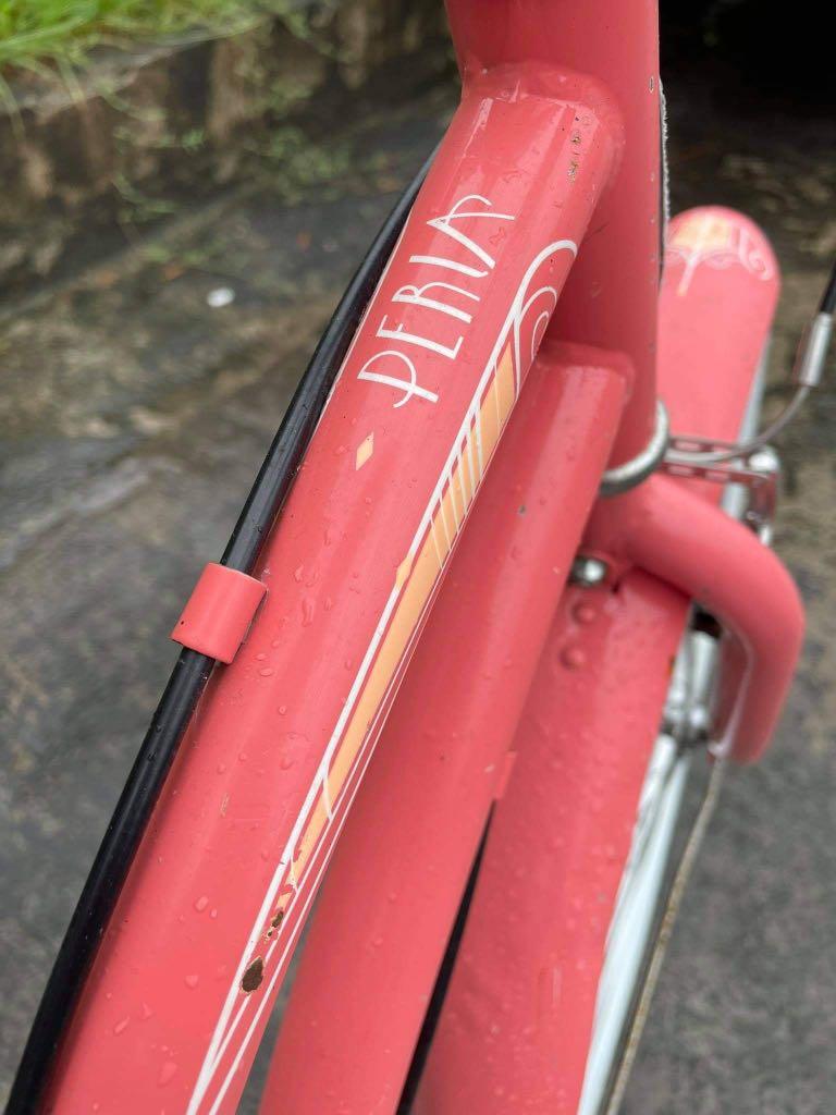 Schwinn 2025 destin cruiser