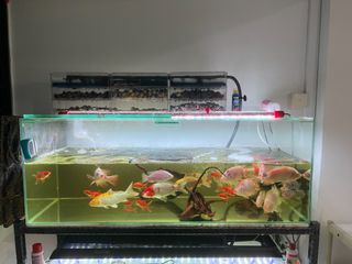 (Category: ) located in . Submitted by yuebin97 (Listing ID 1113016707, Image 1). Description: .
