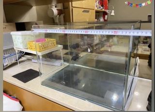 （分類：）位於 。 由 133_s 提交（商品編號 1113139907，圖片 1）。簡介： 。