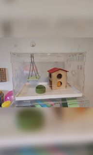(Category: ) located in . Submitted by pet.pet.playground (Listing ID 1113261817, Image 1). Description: .