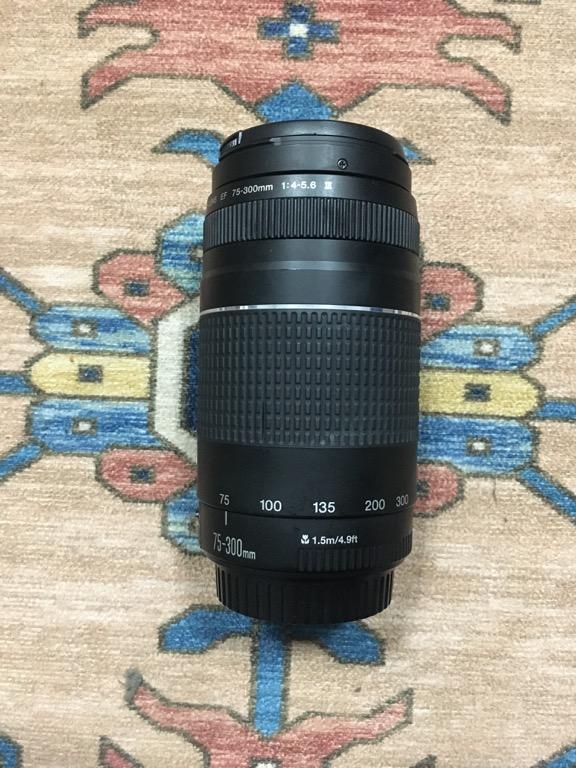 Canon Ef 75 300mm F 4 5 6 Ii Usm Photography On Carousell