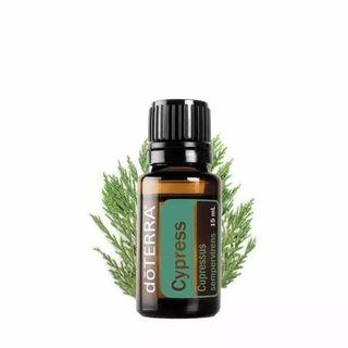 Cypress (Normal Price: RM94)
