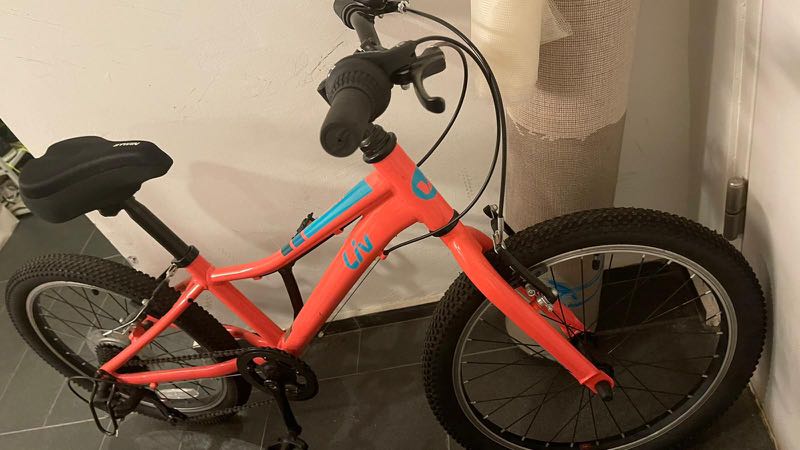 Giant Liv Kids Mountain Bike Enchant Lite 20 Sports Equipment Bicycles Parts Bicycles on Carousell