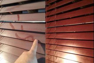 Blinds/Sofa/Mattress/Wall Mold / Allergy prevention