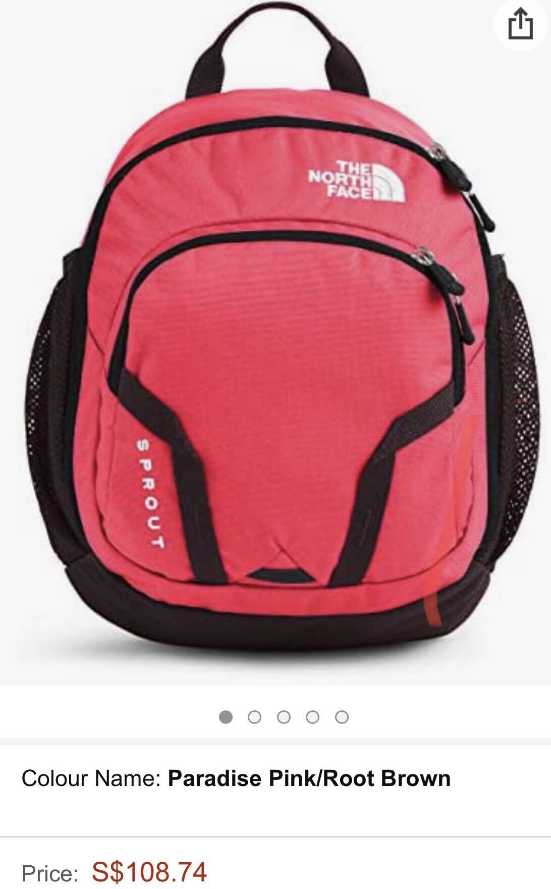 North face sprout backpack Men s Fashion Bags Backpacks on Carousell