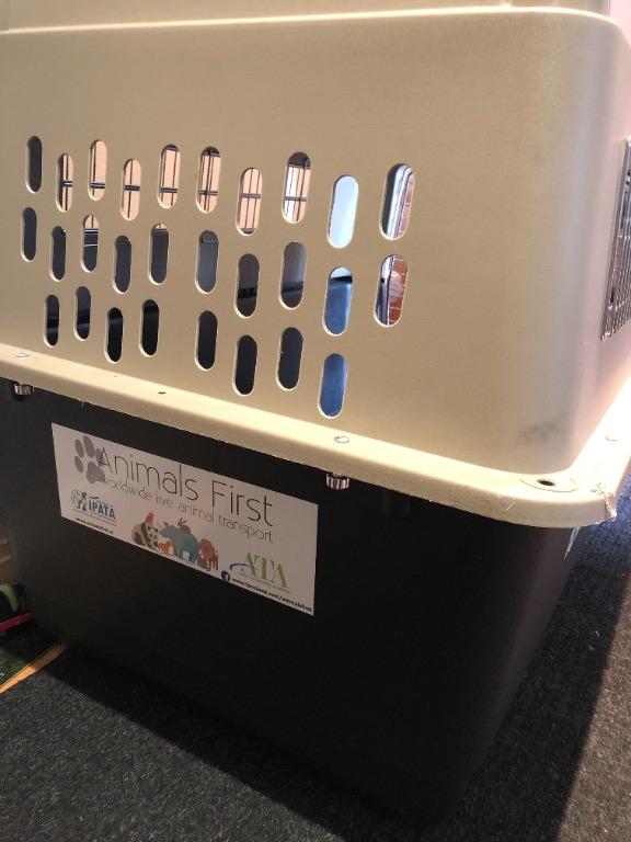 Petmate Ultra Vari Dog Kennel 40 inch Collapsable Flight Ready