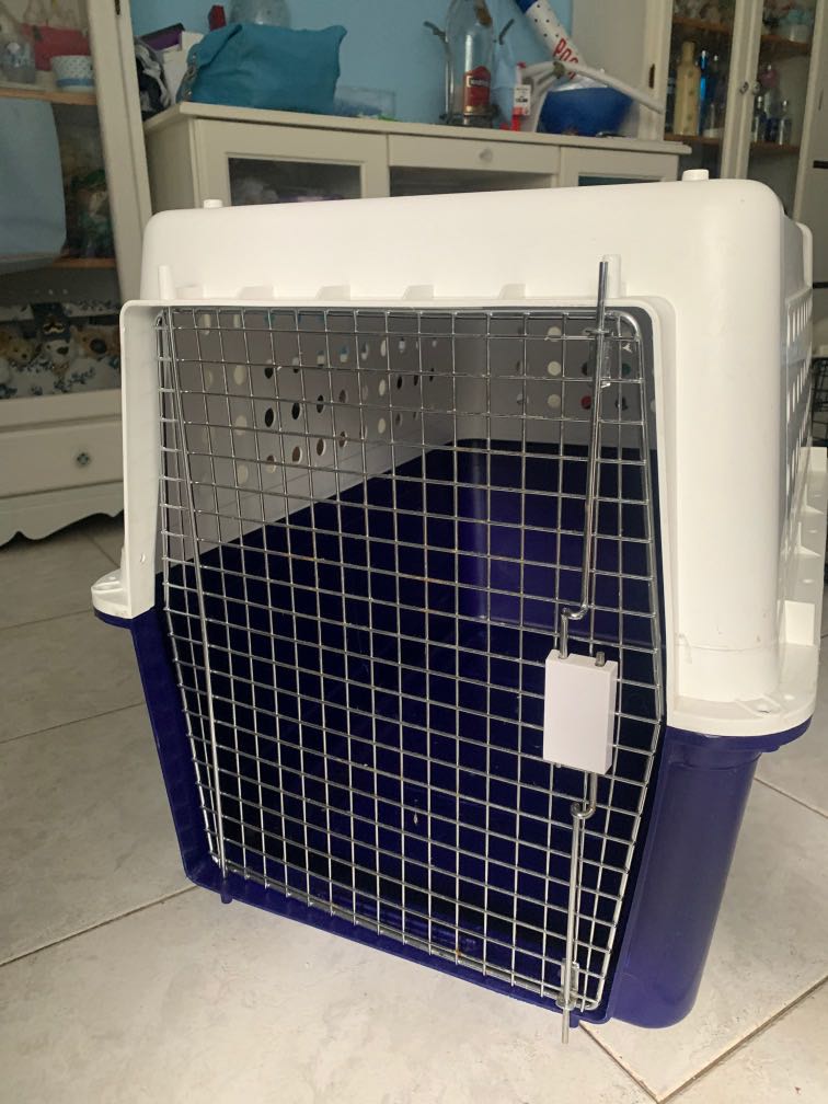PP50 IATA / Airline approved Dog Crate, Pet Supplies, Homes & Other Pet Accessories on Carousell