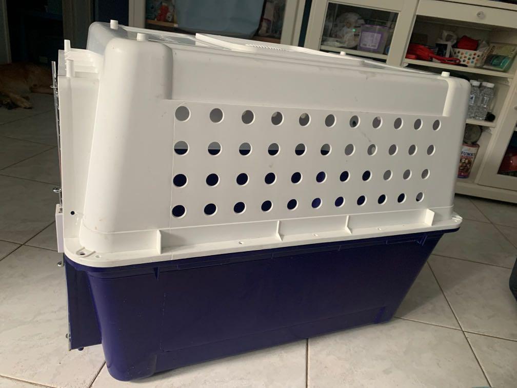 PP50 IATA / Airline approved Dog Crate, Pet Supplies, Homes & Other Pet Accessories on Carousell