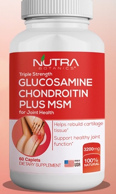 Triple Strength Glucosamine Chondroitin + MSM, Health ...