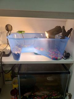 (Category: ) located in . Submitted by mrunited (Listing ID 1113352675, Image 1). Description: .