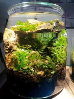 (Category: ) located in . Submitted by bionicrabbit (Listing ID 1113467688, Image 1). Description: .