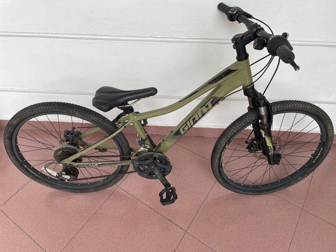 Giant bicycle 24 inch sales
