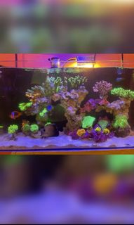 (Category: ) located in . Submitted by muhammad2817 (Listing ID 1113266397, Image 1). Description: .